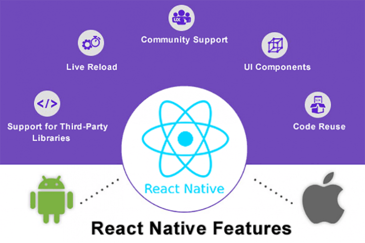 Hiring A ReactJS Developer? Consider These Things First - Nectarbits